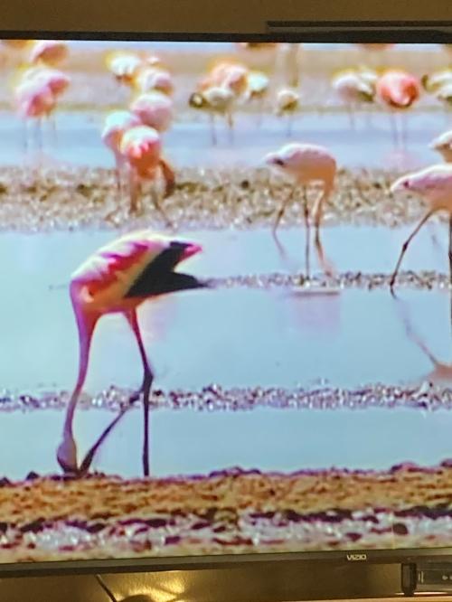 7BF7E31C-C65A-4519-98BE-CB5F1AF575CD