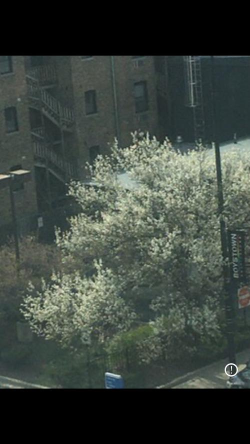 2B7C8F13-2547-4227-B703-86916D4FD9AF