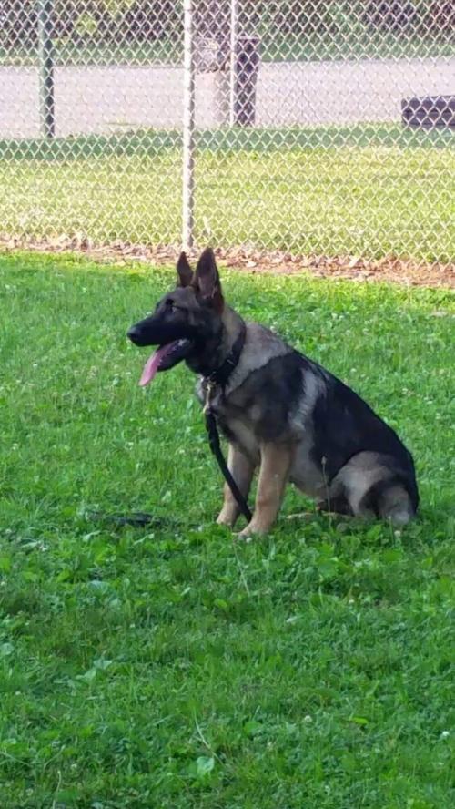 adbec87b-4e60-4338-9123-70d503ded5be