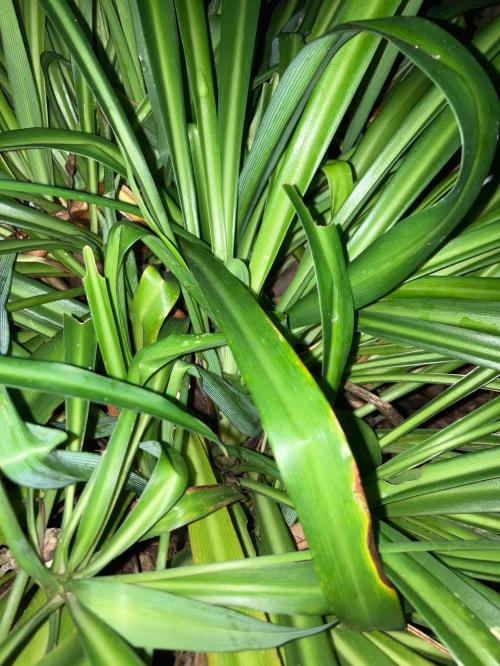 BBAB7AF3-F2B7-4B4A-82CC-3F8219EC0772