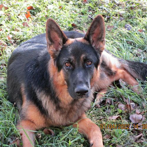 5eceda63-9a89-459a-89de-f21759f045aa