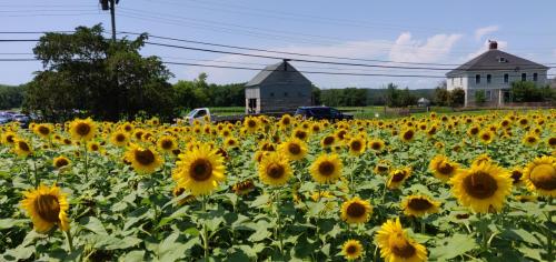 b46277b2-416f-4a38-aff8-4a495c903b83