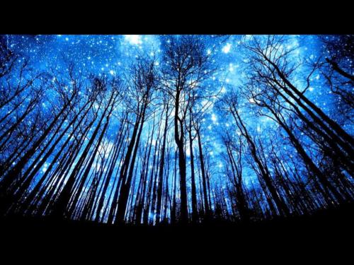 ABB01ECF-DFF2-407C-9E00-BE76163FC6D4