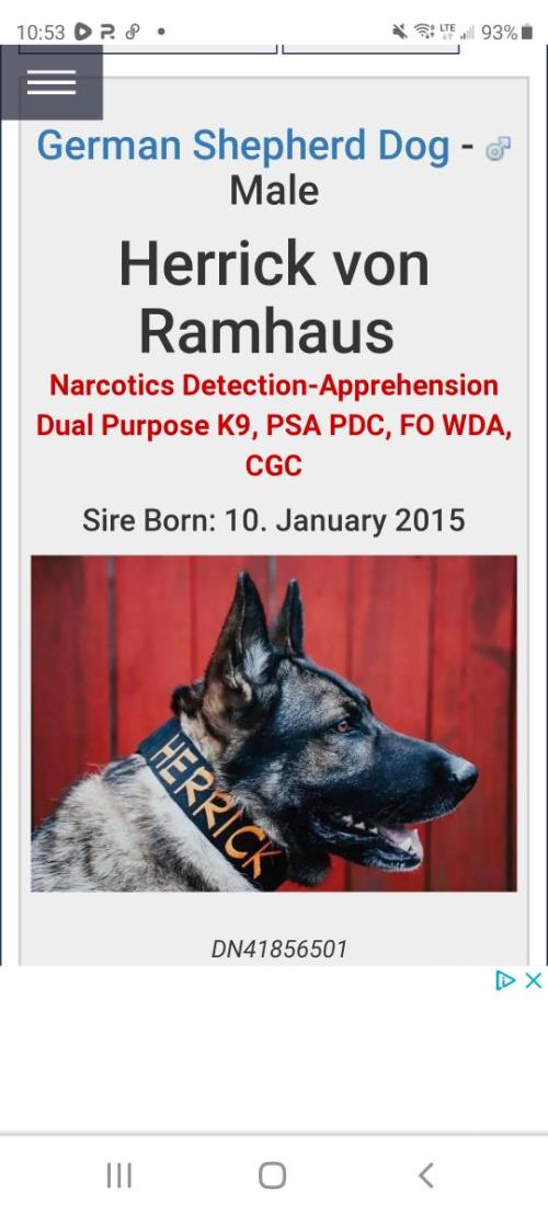 4cdf51ad-17ff-4c19-9620-7c123cd17310