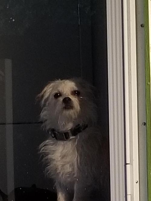 a13649bd-2131-40ec-bf3b-8f237e50d33b