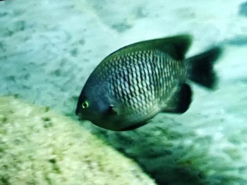 a78d1205-1e27-4c20-a598-f9719911975e