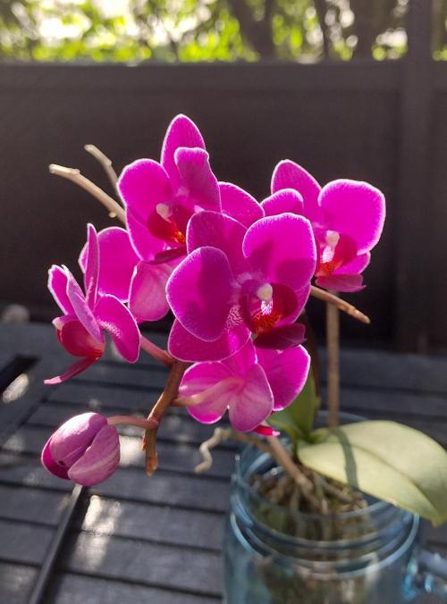 646b93b9-a56f-4f89-bb74-45cb4bd803ff