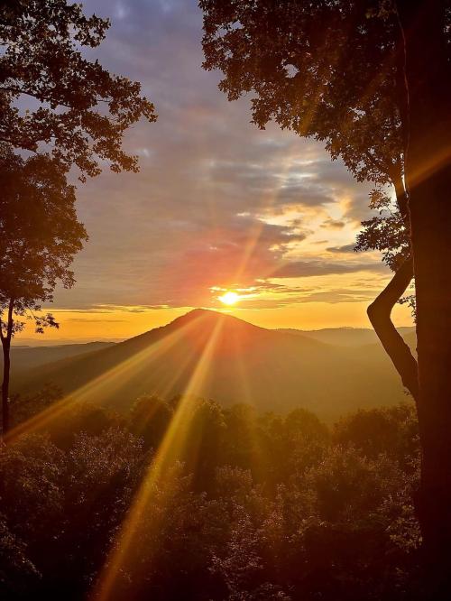 2877301F-5712-4530-A47E-99736AE063A6