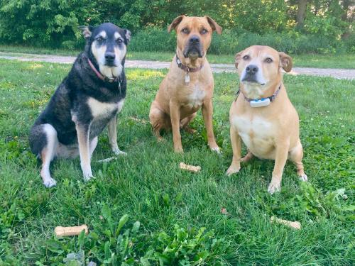 D39B5EB0-9B2F-40FD-9AEE-7BF3A725F3A8