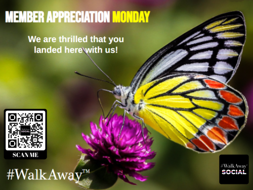MAMButterfly