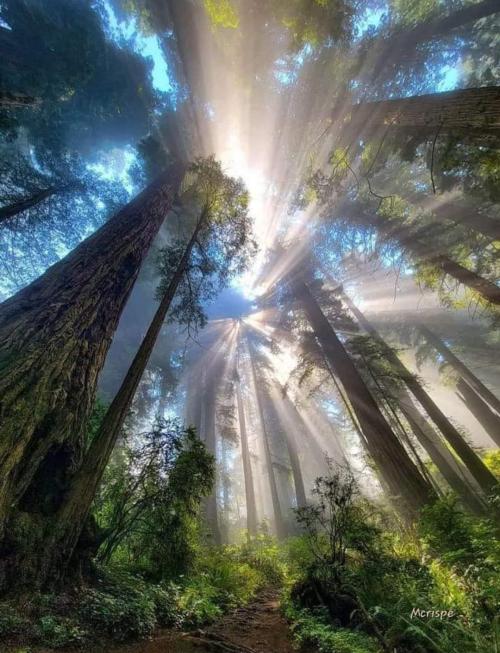 372fe4ae-24cd-40ee-84b5-b74818bef5d4