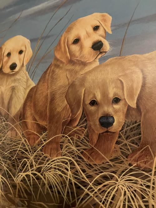 A1813759-4E2B-4716-AA85-6ADAFE3519BE