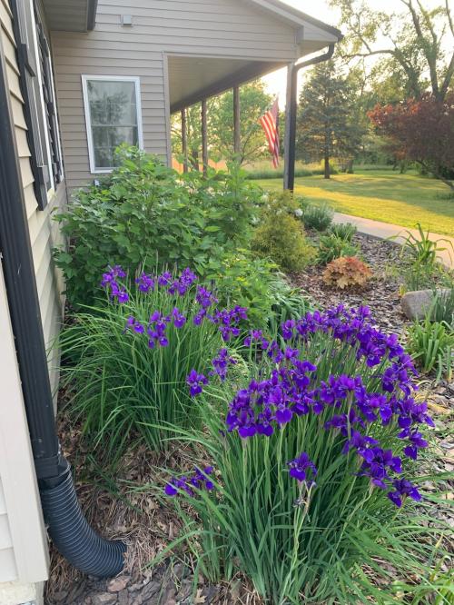 DA9237D3-15BB-4BBF-A8A9-8FEB7FAEAC7B