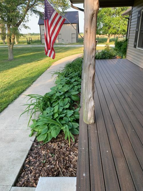 E45D065E-CFA3-4A6A-8424-334E053DD86C