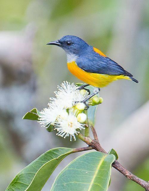 12472548_614091135396788_1852326582120309007_n