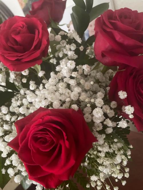 5B008325-519F-44FF-BC0E-C7337B21CFED