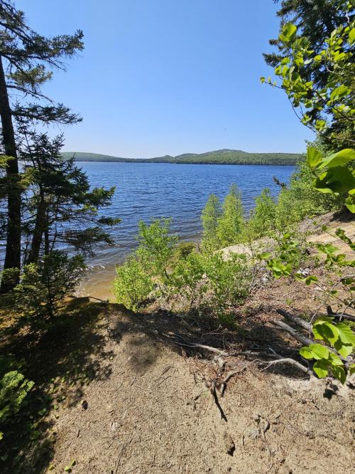 b4f9439e-f579-4a91-9e36-1a7660e2af08