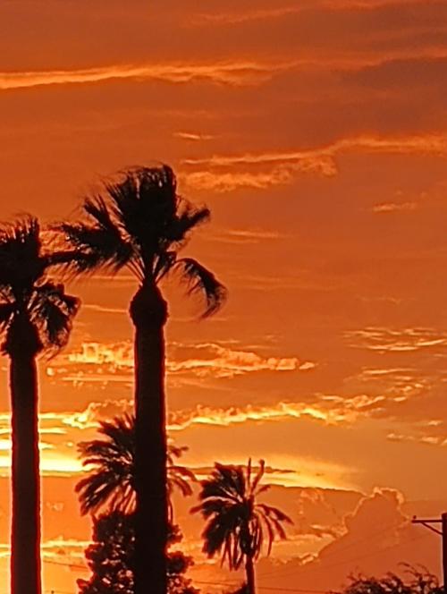 3129e161-f35a-4345-a2c0-d0ffa53a168d