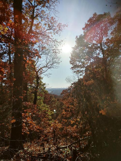 ce053337-dfd8-4b94-9bcb-e099b6dc2a8e