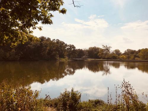 494F3D6A-CDE6-45B0-A9CE-ED284C10C9F3