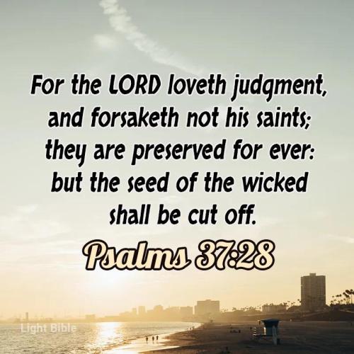 9ef92410-4ee5-4e8d-95be-a38d0684736d