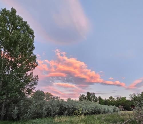 b672efc2-2eb8-40aa-92a1-47aac9e7eb53