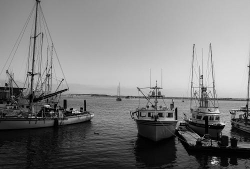 61695305-2593-49cf-b1a0-4b6ee8761116