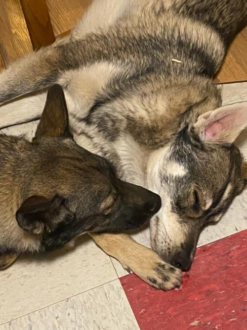 C27943E7-6A5B-4507-8AFA-22CC45E4FB8A