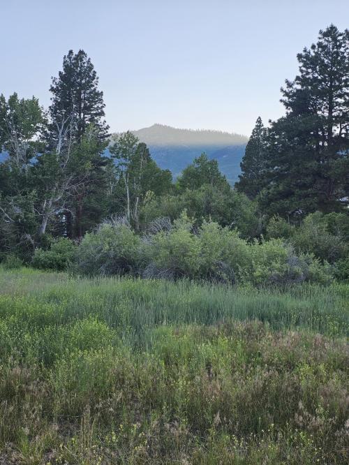 8cdeeb86-8f1d-4dba-a920-2154b5afe603