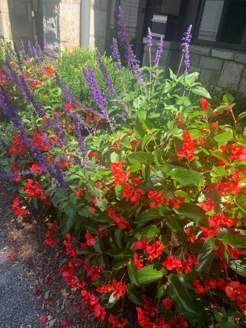 07473450-BD0B-4477-B86F-4C17E842085B