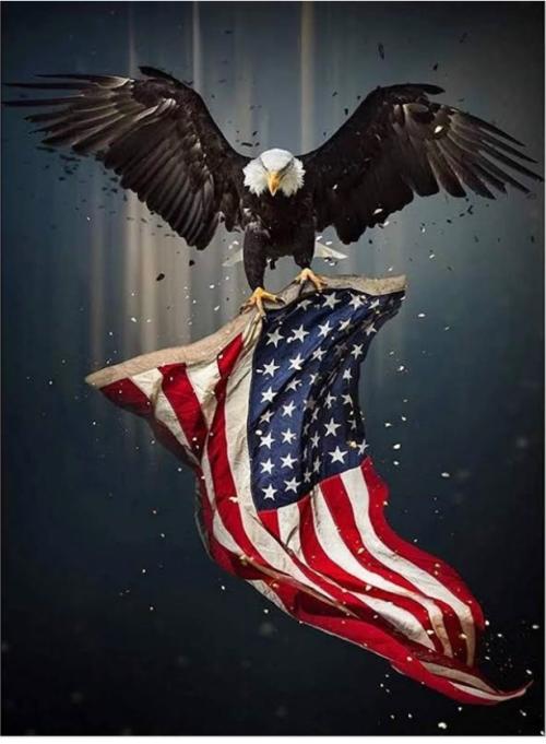 41DEFA2F-70C8-40D7-82DE-0E3E55C9C4E0