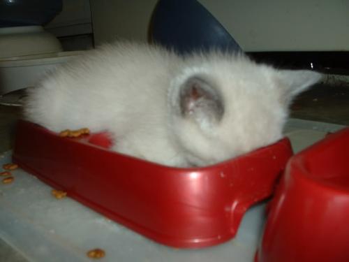 FD00CE42-36CD-43E1-BE96-E95B6F6D3176