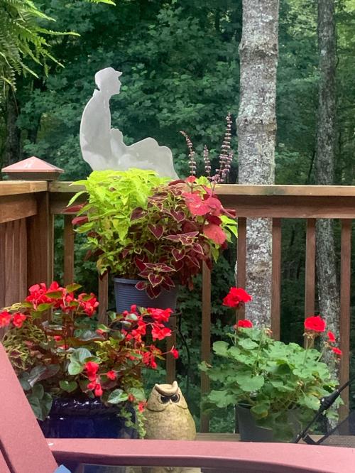 38EBC54E-F5CD-4ACD-A67A-C19465CA17D5