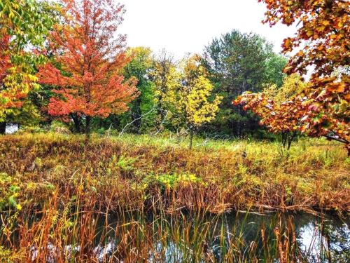 002485b5-4504-4a51-9e24-4ebe8422291b