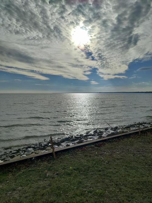 d0417692-9df8-4f4e-97e6-5524faee5a4a