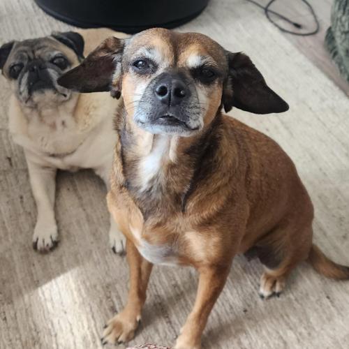 ce70e81e-3a10-46d0-9304-76a7fe7e1a40