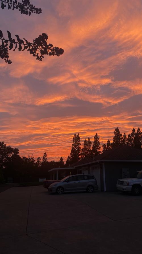 E03070B0-7B35-4372-95DF-7FF7E82990CE