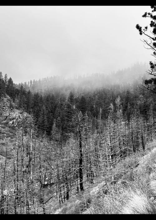 B73C41A2-CD88-4FDC-A41F-D447CF75B6BF