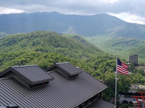 77d3ba97-0ec0-42d8-afde-6c0c066626a1