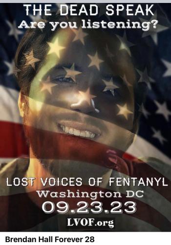 740FD2C8-B47B-4BDD-A850-6A4A60D594C5