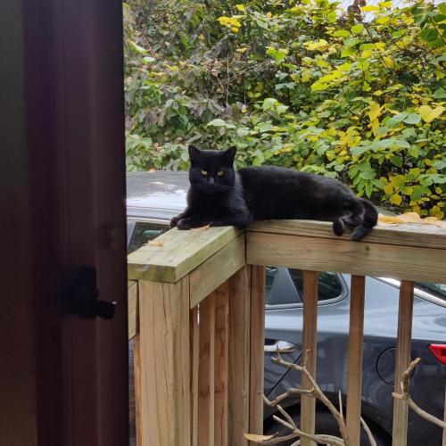 9d939020-b890-421b-917f-68b4af9f2ca2