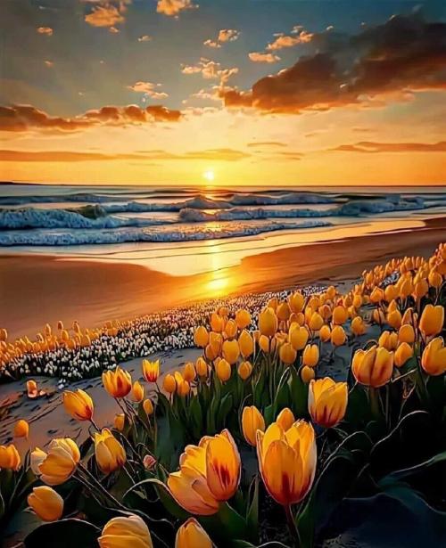 348EC64A-7F6A-4CFB-9CB5-37680A5353A0