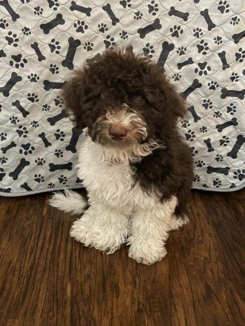 EDB3AE87-8E7C-4375-8B22-CCC7F275D903