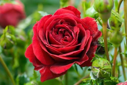 804A7793-CDC0-4CEA-B491-3DE3470C385B