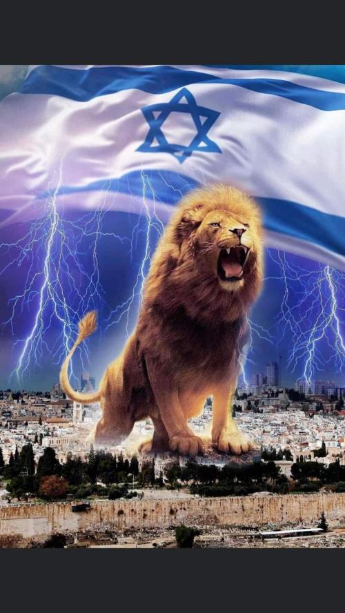 8671a9a0-5090-4dad-843f-d5e375ff2e7b