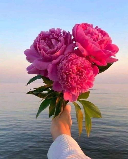 4272AE0A-5548-4F35-AFCA-60FBE83A2E7A