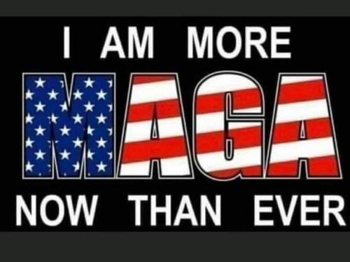 48cc6e11-e941-4e76-8786-ea0836f7127d