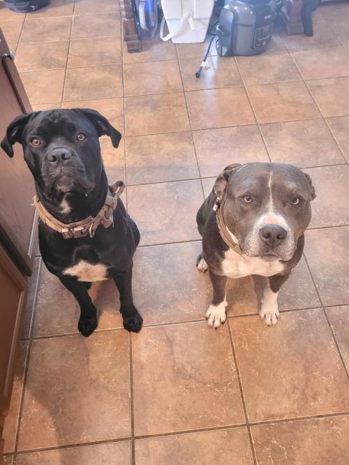 8c2f636e-7af0-4738-81ec-7a98601c5ae8