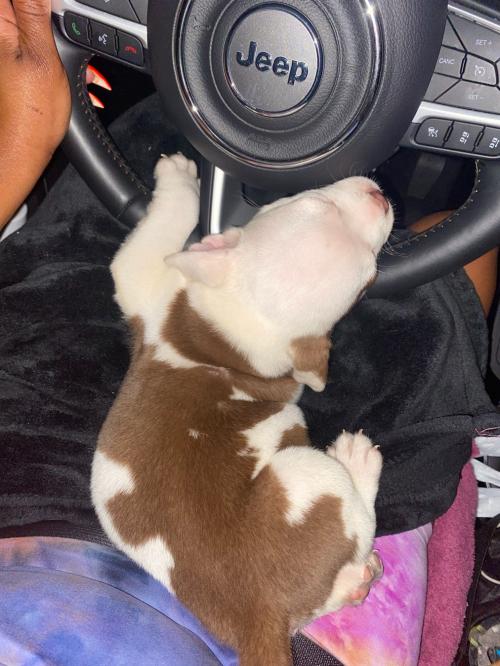 00D220C6-0206-4283-BA75-D20BC4DB2725