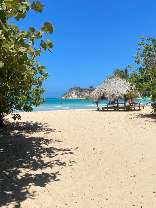 ADD8AFE5-6797-4911-B310-9C6D77E99107